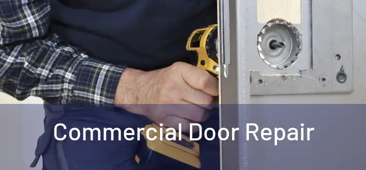 Commercial Door Repair